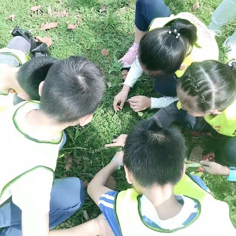 贝尔安亲环保公益讲座（3）.jpg